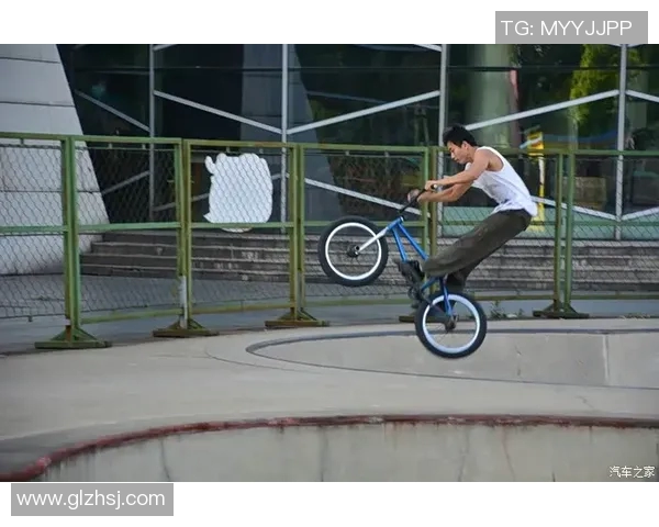 滑板文化的碰撞与融合：深入解析北京滑板队的战术与训练秘诀